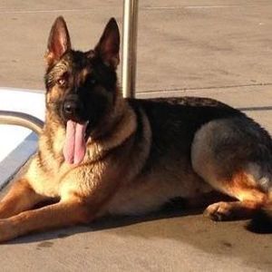 Meet your Posher, Brenda